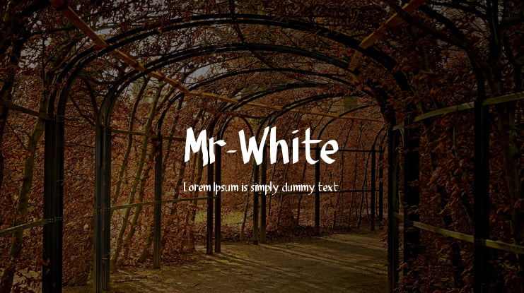 Mr-White Font