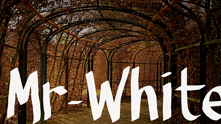 Mr-White Font
