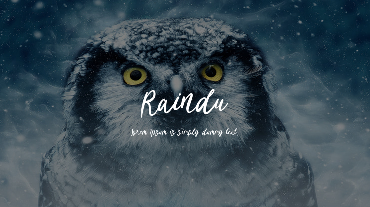 Raindu Font