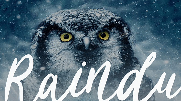 Raindu Font