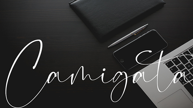 Camigata Font Family