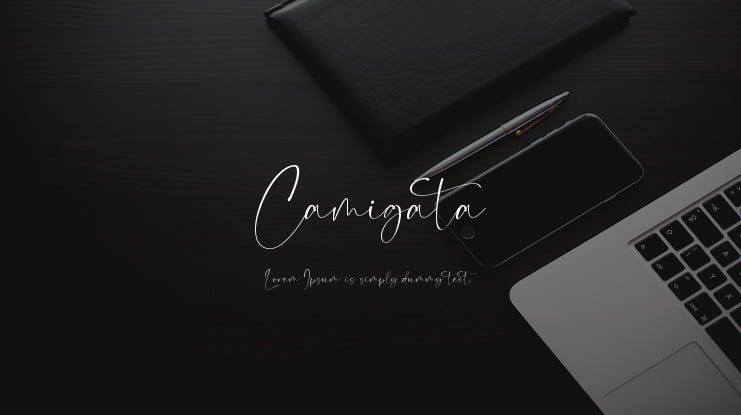 Camigata Font Family