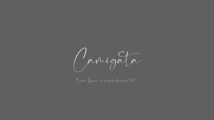 Camigata Font Family