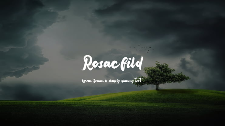 Rosacfild Font
