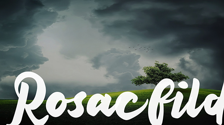Rosacfild Font