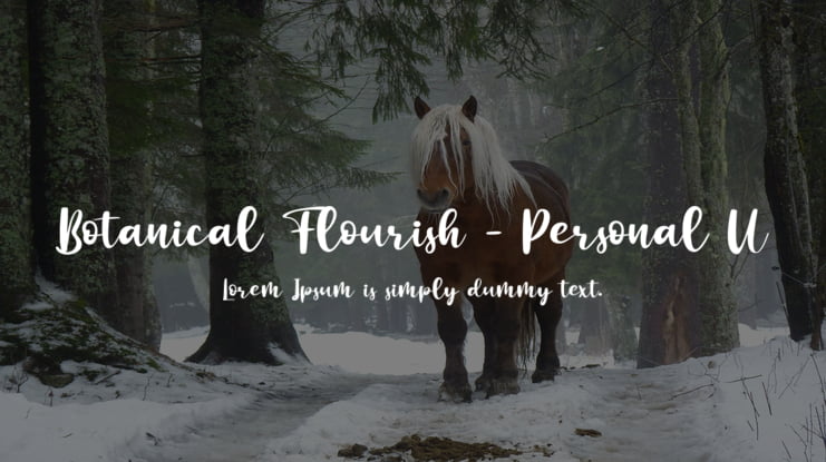 Botanical Flourish - Personal U Font