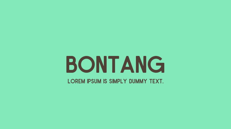 Bontang Font