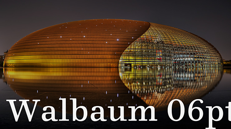 Walbaum 06pt Font Family