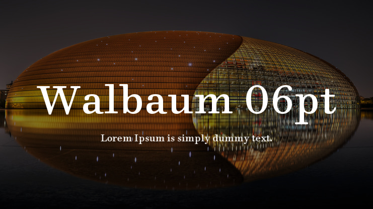 Walbaum 06pt Font Family