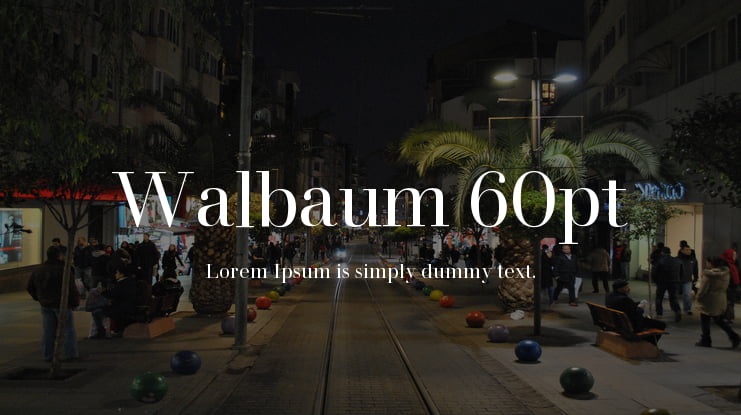 Walbaum 60pt Font Family