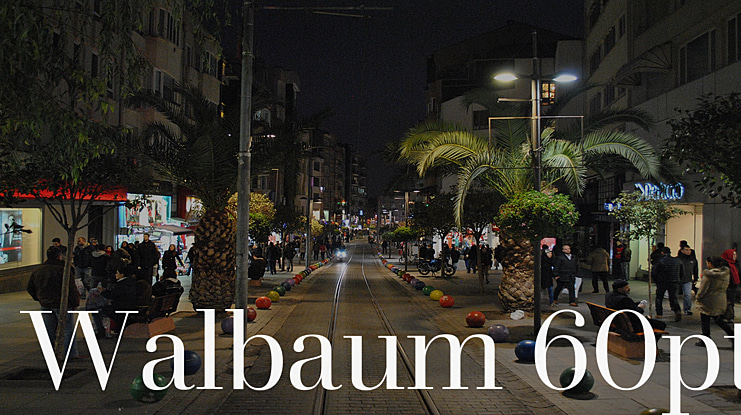 Walbaum 60pt Font Family