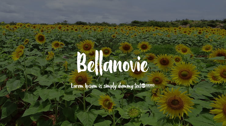 Bellanovie Font