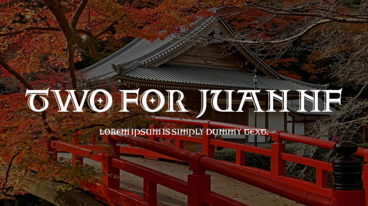 Two For Juan NF Font