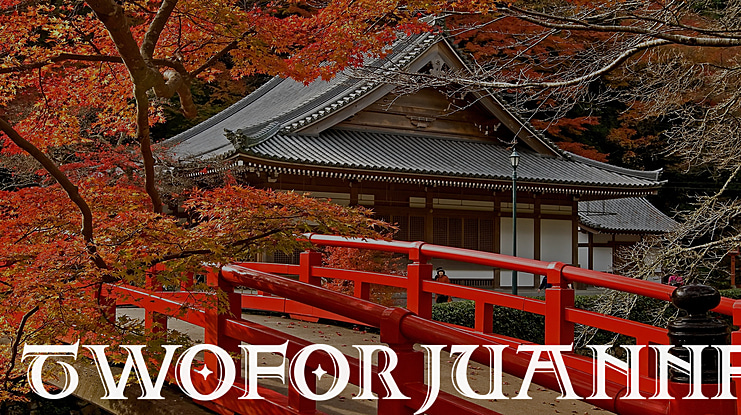 Two For Juan NF Font