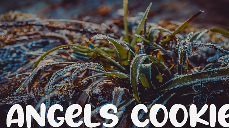 Angels Cookie Font Family