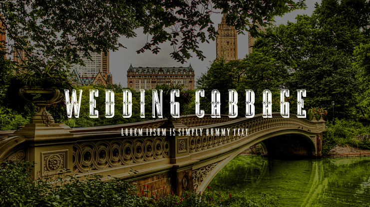 Wedding Cabbage Font