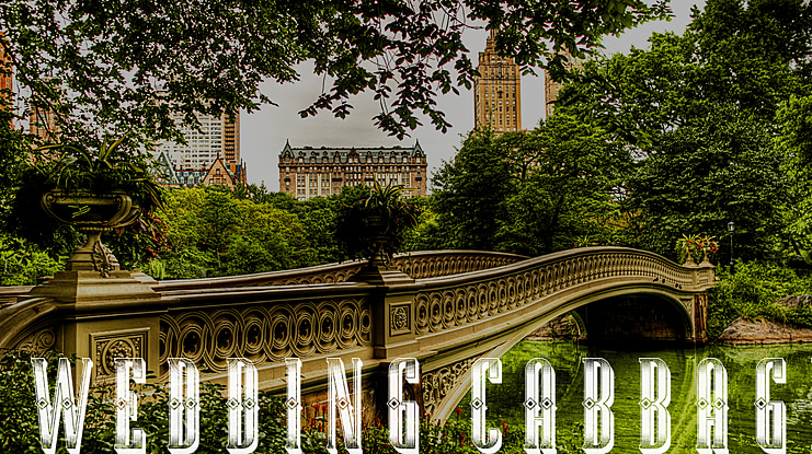 Wedding Cabbage Font