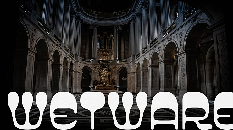 Wetware Font