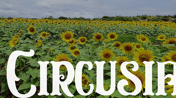 Circusia Font