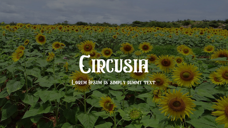 Circusia Font