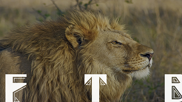 Full Tilt Boogie Font