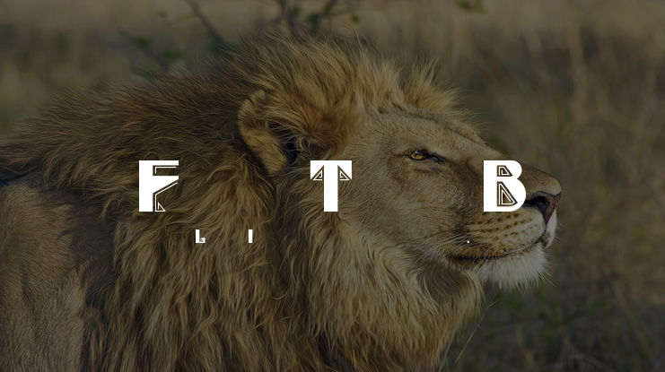 Full Tilt Boogie Font