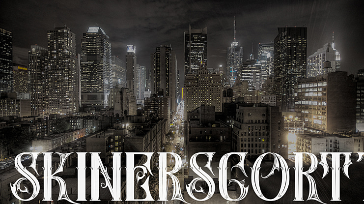 SkinerScort1 Font