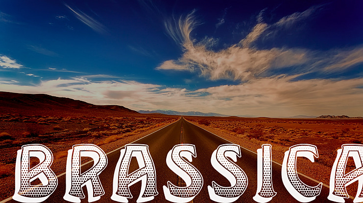 Brassica Font Family