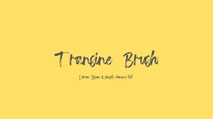 Transine  Brush Font
