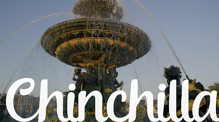 Chinchilla Font