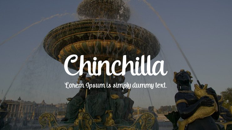 Chinchilla Font
