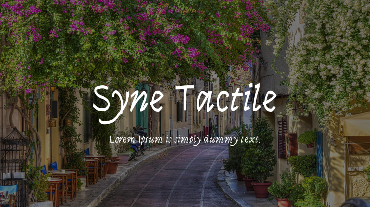 Syne Tactile Font