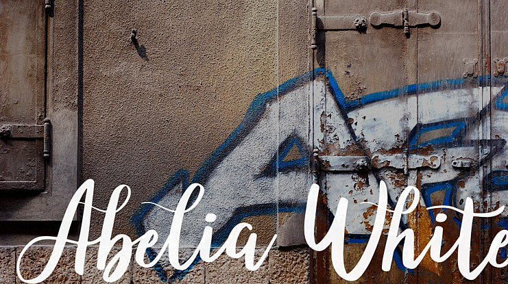 Abelia White Font