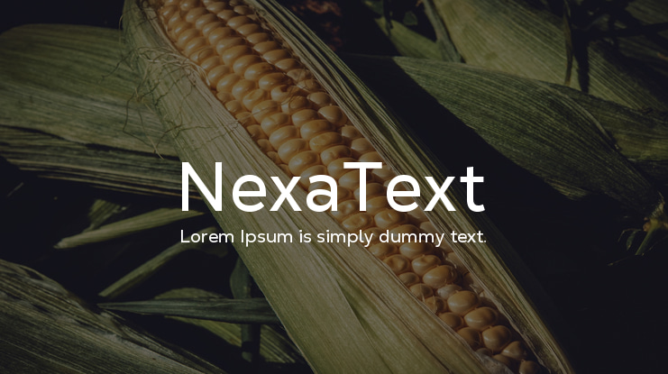 NexaText Font Family