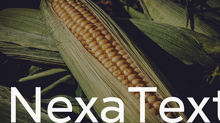 NexaText Font Family
