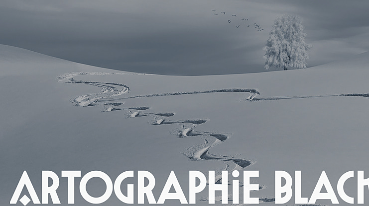 Artographie Black Font Family
