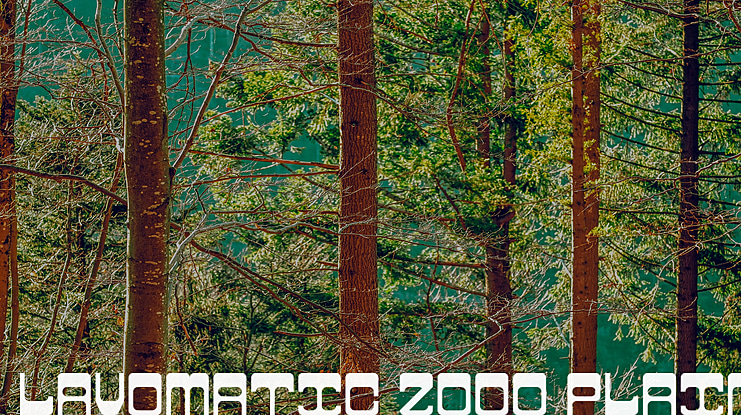 Lavomatic 2000 Plain Font Family