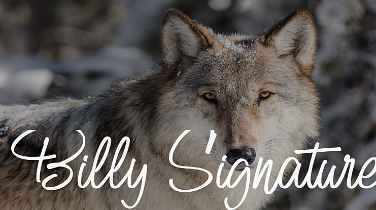 Billy Signature Font