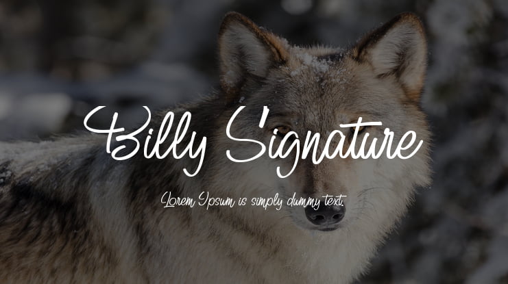 Billy Signature Font