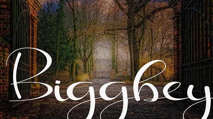 Biggbey Font