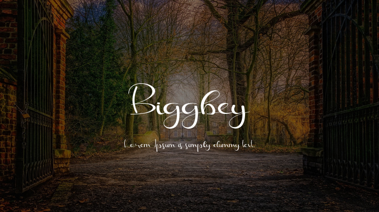 Biggbey Font