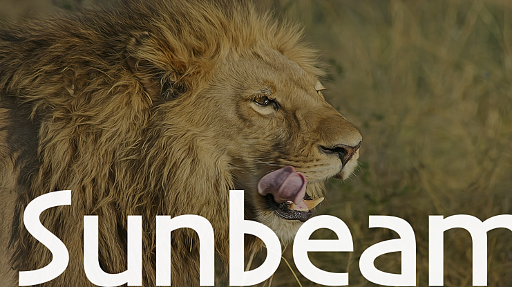 Sunbeam Font