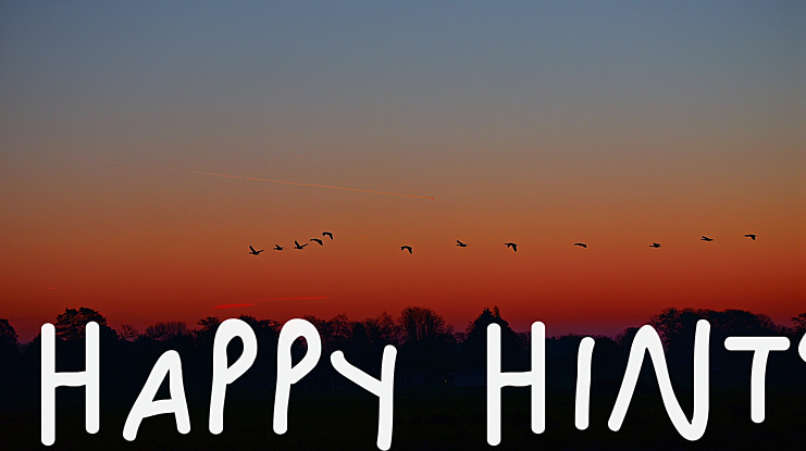 Happy Hints Font