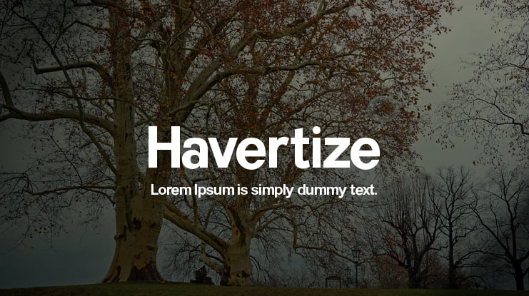 Havertize Font Family