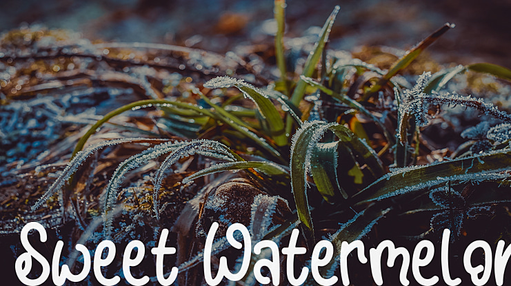 Sweet Watermelon Font