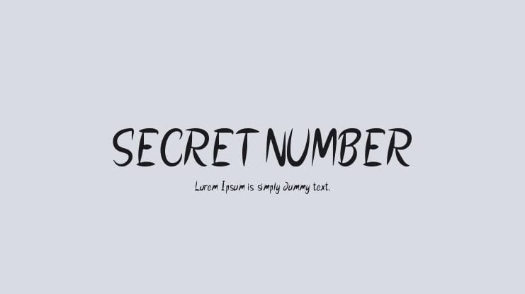 SECRET NUMBER Font