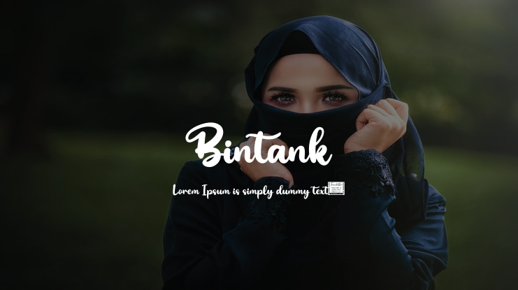 Bintank Font