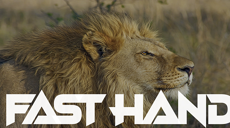 Fast Hand Font