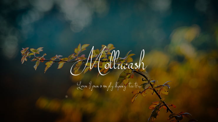 Mollucash Font