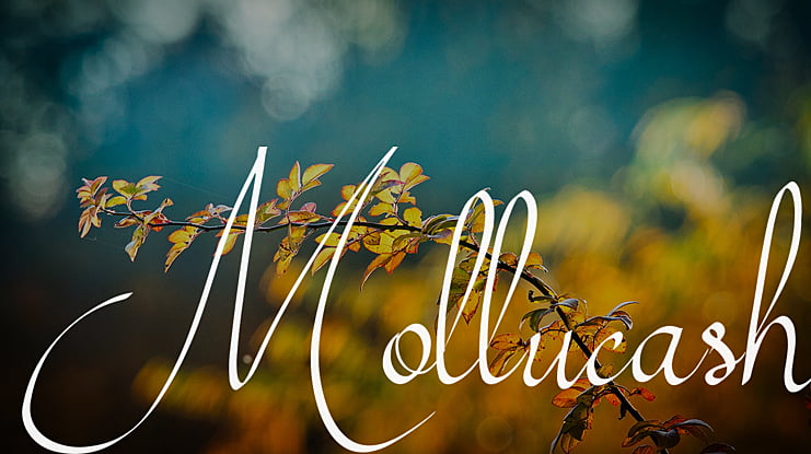 Mollucash Font